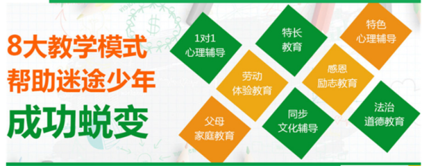 湖南岳阳网瘾青少年封闭式咨询教育管理机构十大注目机构介评